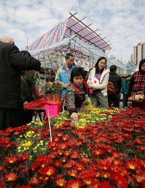 Local residents choose flowers at the New Year Fair held at the Victoria Park in Hong Kong, south China, on Feb. 3, 2008. (Xinhua Photo)