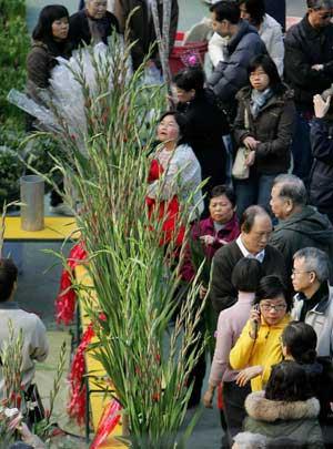 Local residents choose flowers at the New Year Fair held at the Victoria Park in Hong Kong, south China, on Feb. 3, 2008. (Xinhua Photo)