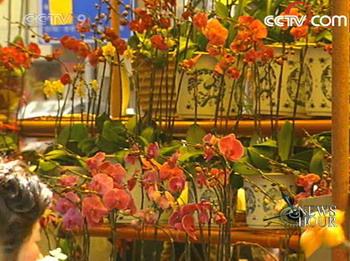 In&nbsp;Guangzhou,&nbsp;residents&nbsp;traditionally&nbsp;spend&nbsp;the&nbsp;day&nbsp;touring&nbsp;the&nbsp;city's&nbsp;annual&nbsp;flower&nbsp;fair.&nbsp;(CCTV.com)