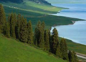 China has made great efforts during the past five years promoting environmental protection. 