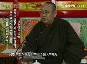 More religious figures have voiced their strong condemnations of the sabotage activities in Tibetan-populated areas.