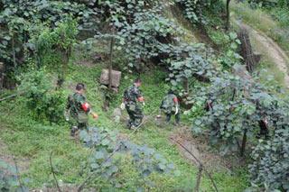 Militiamen search for a missing helicopter in the Zhaogong Mountain near Dujiangyan City, southwest China's Sichuan Province, June 2, 2008. A military transport helicopter engaging in quake relief work near Yingxiu Town was missing on May 31. There were altogether 19 people on board the helicopter, including five crew members and 14 injured local residents. (Xinhua Photo)