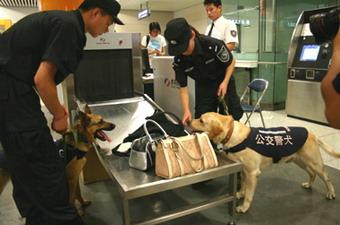 X-ray&nbsp;machines&nbsp;are&nbsp;checking&nbsp;passengers'&nbsp;bags.&nbsp;Sniffer&nbsp;dogs&nbsp;are&nbsp;double&nbsp;checking&nbsp;to&nbsp;ensure&nbsp;no&nbsp;forbidden&nbsp;items&nbsp;are&nbsp;carried&nbsp;on&nbsp;board.