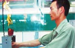 Paralympic torch relay will begin