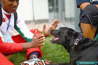 A&nbsp;Portuguese&nbsp;athlete&nbsp;plays&nbsp;with&nbsp;his&nbsp;guide&nbsp;dog&nbsp;"Nida"&nbsp;at&nbsp;the&nbsp;Beijing&nbsp;Paralympic&nbsp;Village,&nbsp;September&nbsp;8,&nbsp;2008.[Sohu.com]