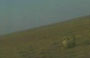 Video: Re-entry capsule lands
