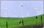 30 in 30 - 2006: China shifts focus to environment