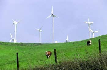 China is shifting its emphasis from economic growth to resource conservation and environmental protection.