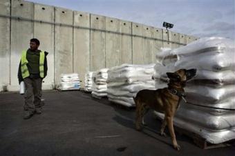 A dog sniffs aid which is destined for Gaza before it goes in. For a second straight day, Israel said it suspended is Gaza military operation for three hours to allow distribution of humanitarian supplies.(AP Photo/Sebastian Scheiner)