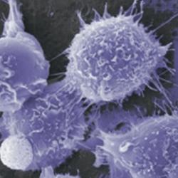 Medical researchers in Britain are developing a groundbreaking treatment to dramatically enhance the body's ability to repair itself.