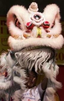 A Chinese lion dancer performs during the celebration of the Chinese New Year in Panama City, Monday, Jan. 26, 2009.(AP Photo/Arnulfo Franco)