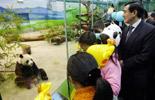 Giant pandas popular in Taiwan