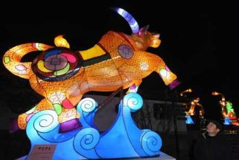 A man takes a look at an Ox-shaped lantern in Wuhan, capital of central China's Hubei Province, Feb. 4, 2009. Lanterns in the city are ready for the upcoming Lantern Festival, the 15th of the first month of the Chinese lunar calendar. (Xinhua/Cheng Min)