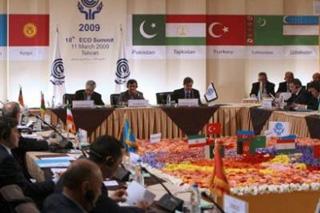 Iranian President Mahmoud Ahmadinejad (centre) chairs the opening session of the summit of the regional Economic Cooperation Organisation (ECO) in Tehran.(AFP/Atta Kenare)