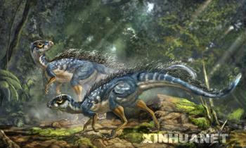 Chinese scientists have discovered a dinosaur fossil, which reveals that a primitive form of feather may have evolved earlier than was previously thought.