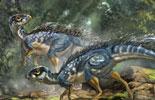 Earliest feathered dinosaur found