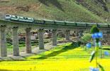 Tibet development through numbers<br><br><br><a href=http://www.cctv.cn/english/special/Tibetreform/video/01/index.shtml><font color=blue>CCTV reporters in Tibet>></font></a>
