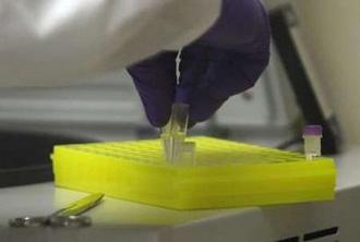 A microbiologist tests samples for Influenza A (H1N1), formerly referred to as swine flu, at the Dallas Department of Health and Human Services laboratory in Dallas, Texas May 1, 2009. REUTERS/Jessica Rinaldi
