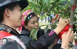 Beichuan survivors remarry