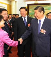 示例图片