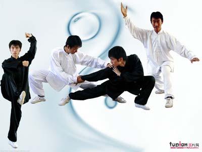 Forms&nbsp;of&nbsp;Chinese&nbsp;martial&nbsp;arts