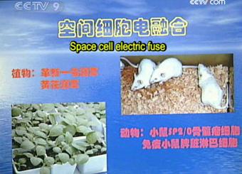 Shenzhou 4 was China's last unmanned space flight experiment. The space craft was equiped with 52 facilities for scientific research and some experiments were conducted in space.