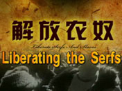 示例图片