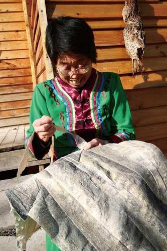 Hezhe people used to wear clothing made of fish skins and used dogs for hunting, earning the titles of Yupi Tribe (Fish Skin Tribe) and Shiquan Tribe (Dog-using Tribe). 