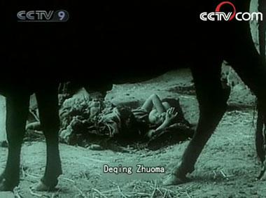 Lived in cowshed