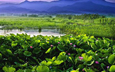 How | <a href=http://www.cctv.cn/english/special/taiwantour/20090422/102621_1.shtml target=_blank>When to travel</a>