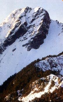 Mt. Yushan