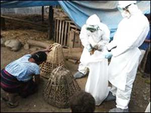 Though Nepal has successfully controlled the first outbreak of bird flu (H5N1), it is at high risk of recurring outbreaks
