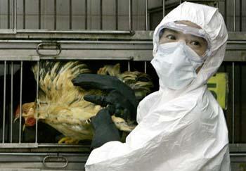  chicken carcass found in Hong Kong's Tung Ping Chau was confirmed to be H5N1 positive after a series of laboratory tests