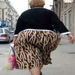 Obese women have alterations in the environment around the ovary before they ovulate that appear to play a role in the well-documented association between obesity and reduced fertility