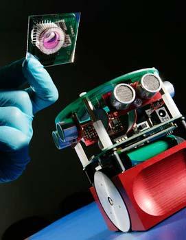 The Robot Scientists are multidisciplinary research projects involving expertise from Computer Science and Microbiology