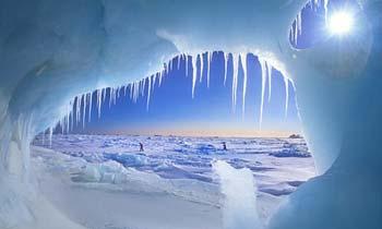 The Arctic is stepping on smaller and thinner ice than ever before，with strong old ice increasingly being replaced by quick-to-melt young ice