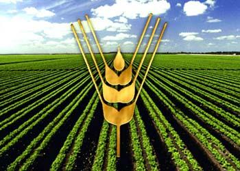 The Santiago office of the United Nations Food and Agriculture Organization (FAO) launched Thursday a campaign entitled "The Second International Cookbook" to fight hunger.