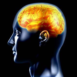 The diameter of an individual brain neuron is 4 microns, meaning 30,000 could fit on the head of a pin.