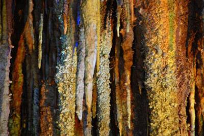 Photo taken on April 24 shows the stalactite in the Furong Karst Cave in Wulong County of southwest China's Chongqing. About 30 different kinds of Sedimentary Characteristics can be found in the single cave, with an area of 37,000 square meters, which draws attention of many experts and tourists.(Xinhua photo)