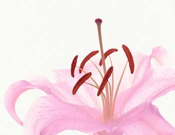Breast cancer occurrence in Beijing doubles in 10 years