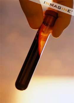 A blood sample databank under the China Marrow Donor Program (CMDP), was officially established Monday at Zhongguancun of Beijing.