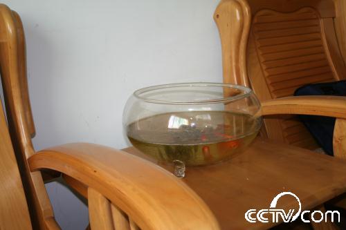 �����������������